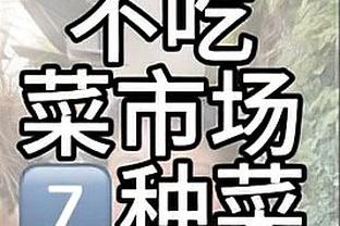 中甲新军大连智行被拍卖时间截止，没有任何企业和个人参与竞拍